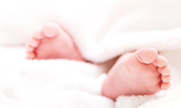 Newborn to 6 months - Establishing the foundation